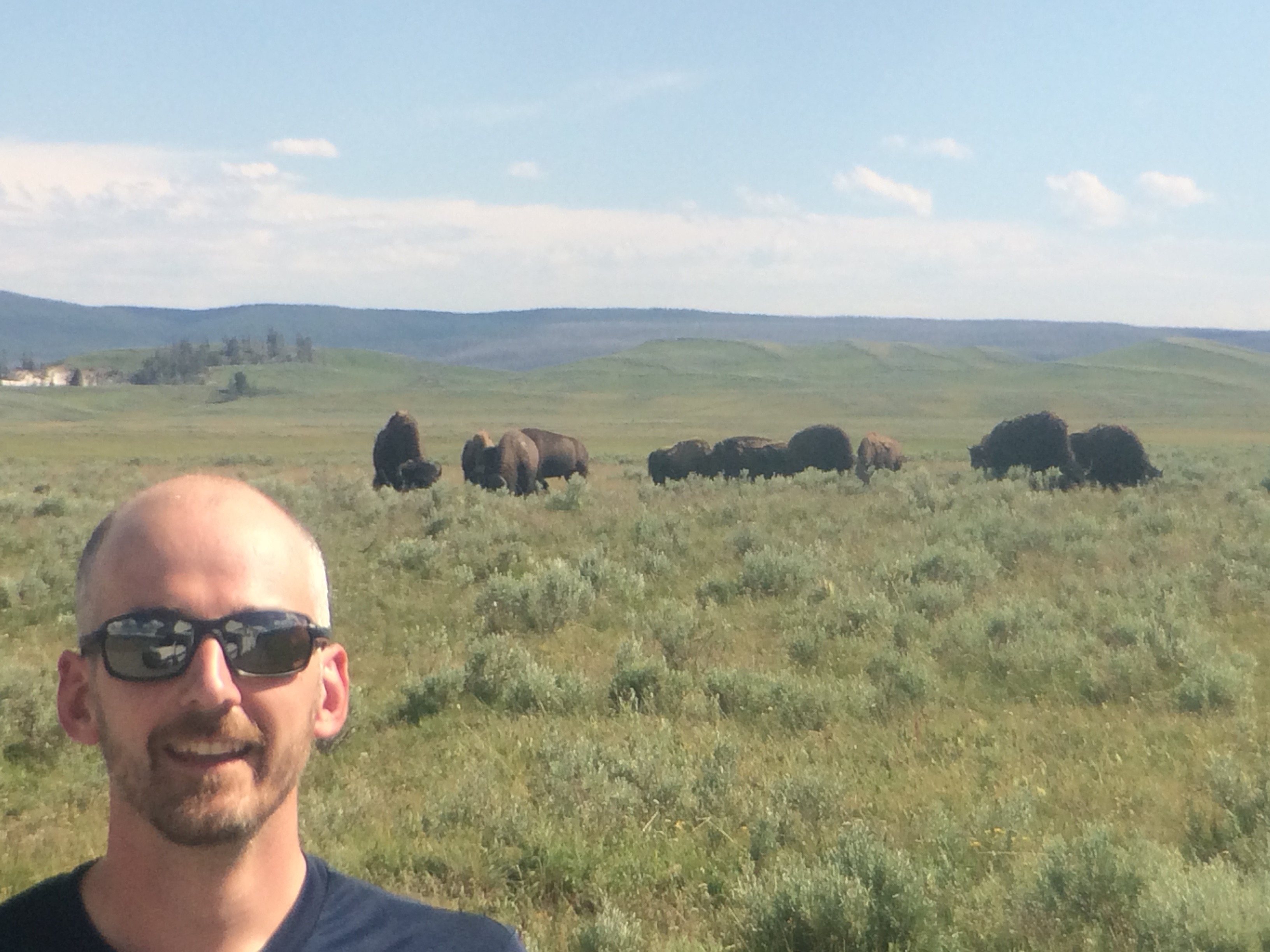 rencontre avec un ours